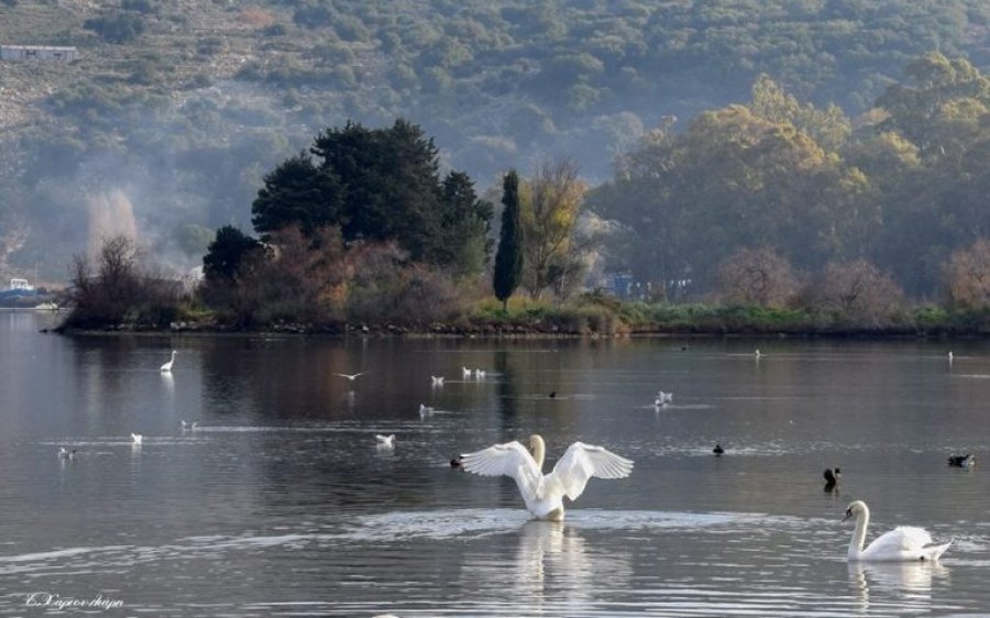 Φυσική Αποκατάσταση Υδρότοπου Κουτάβου και του Αλσυλλίου του γύρου της Λάσσης