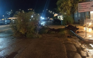Διονύσης Στανίτσας: "Η κατάσταση είναι πολύ σοβαρή. Παρακαλώ όλους όχι σε μετακινήσεις..." Πτώσεις δέντρων στην Ιθάκη (εικόνα)