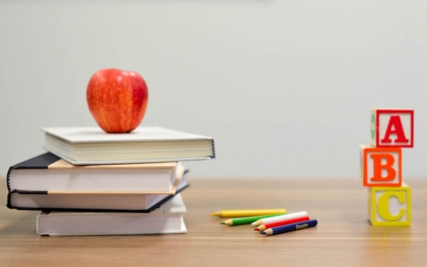 Γράμμα μαθήτριας του Δημοτικού των Μεσοβουνείων: Κραυγή αγωνίας (εικόνα)