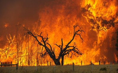 Οι πυρκαγιές επηρέασαν το κλίμα περισσότερο από ό,τι η πανδημία