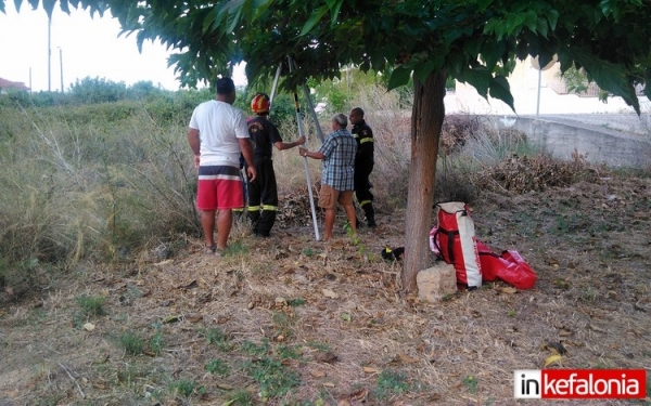 Με επιτυχία η επιχείρηση διάσωσης σκύλου στα Κουντουράτα (εικόνες - video)