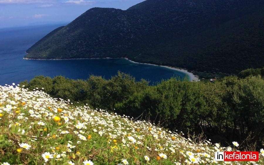 Στα Αγρίλια με θέα την Αντίσαμο!