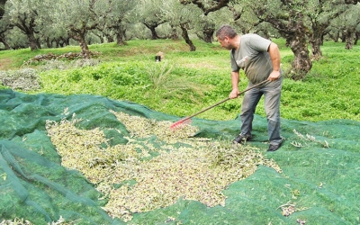 Ε.Α.Σ.: Οι «κουτσουρεμένες» κοινοτικές Επιδοτήσεις