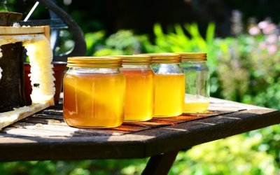 Ε.Α.Σ.: Μεγάλες εισαγωγές μελιού από Ουκρανία και Κίνα