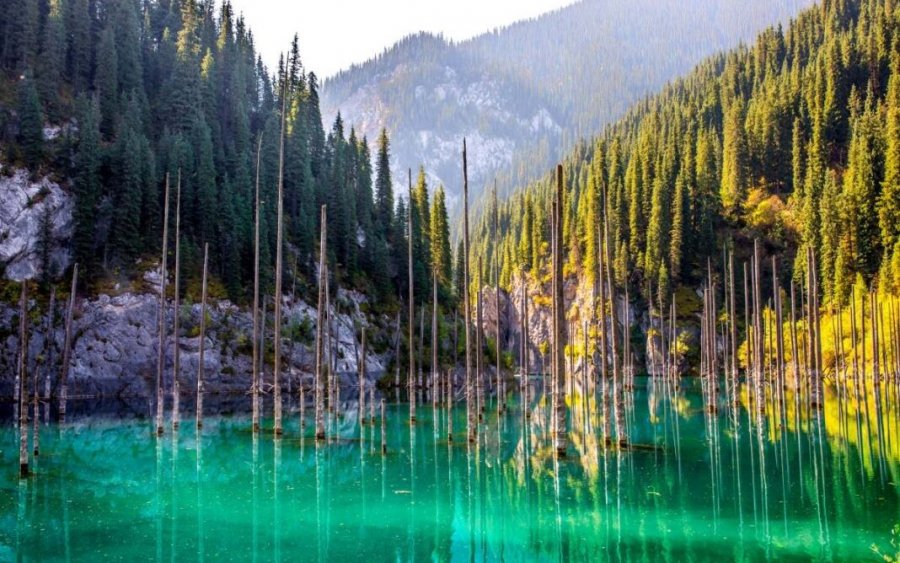 Ένα από τα πιο εντυπωσιακά τοπία του κόσμου: Έλατα βυθισμένα σε μια λίμνη απόκοσμης ομορφιάς…