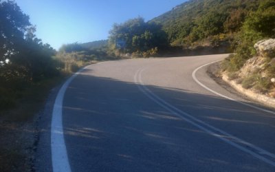 Επείγουσα έκκληση για βοήθεια – Εγκαταλελειμμένα κουταβάκια σε κίνδυνο