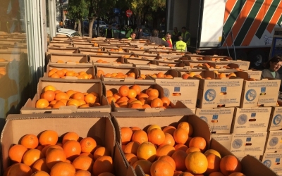 Παρατείνεται η διανομή πορτοκαλιών σε πολύτεκνες οικογένειες στο Αργοστόλι