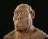Ο Homo rudolfensis είναι ο νέος... προϊστορικός μας πρόγονος