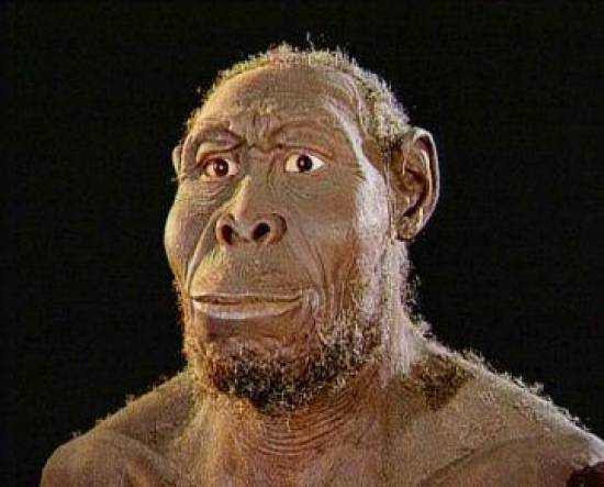 Ο Homo rudolfensis είναι ο νέος... προϊστορικός μας πρόγονος