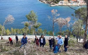 Η ΟΝΝΕΔ Κεφαλληνίας και Ιθάκης ευχαριστεί για την οργανωμένη δενδροφύτευση στην Άσσο