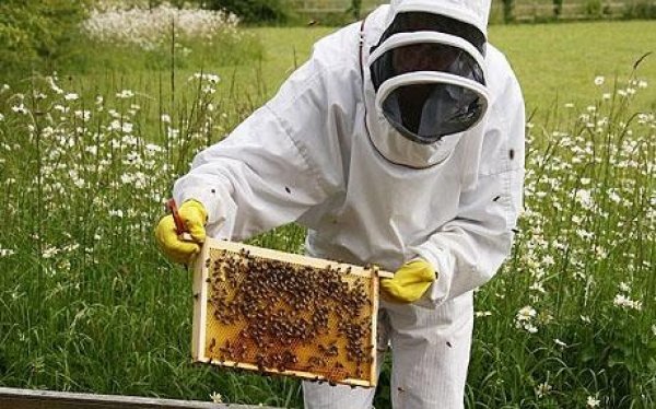 Αιτήσεις συμμετοχής ντόπιων Μελισσοκόμων σε δράσεις έτους 2023