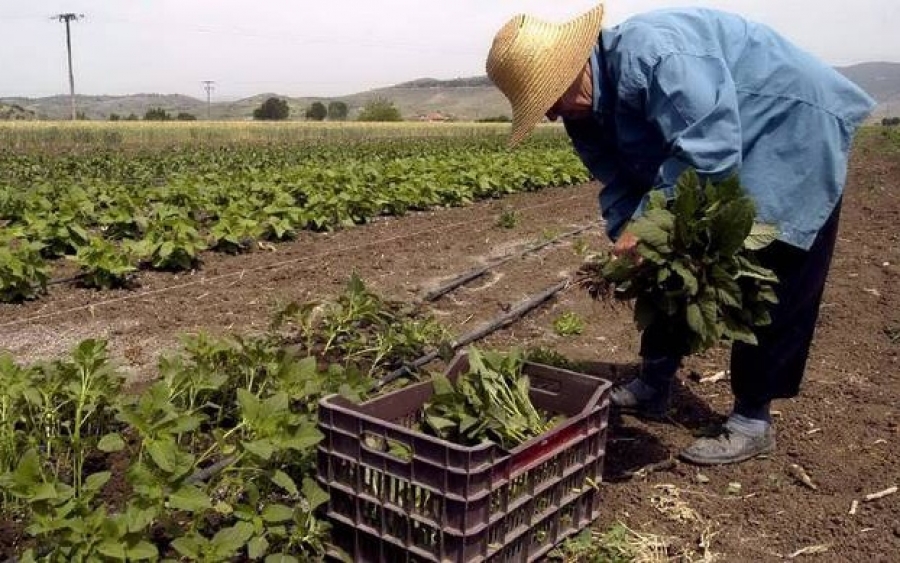 Ε.Α.Σ. :  Εκπνέει η προθεσμία για Μεταβιβάσεις Επιδοτήσεων