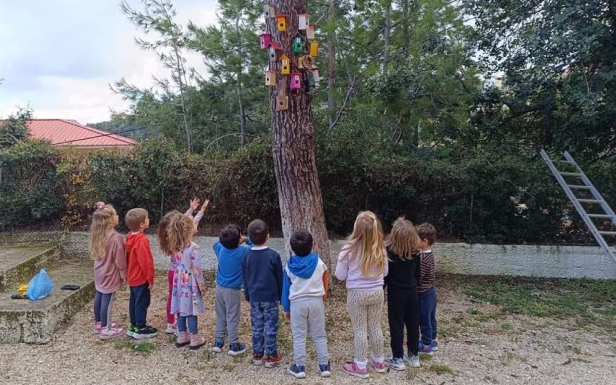 Φωλίτσες και ταΐστρες για τα πουλάκια στο Νηπιαγωγείο του Πόρου