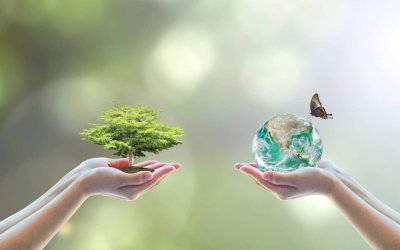 BIONIAN: Ένα έργο ορόσημο για τη βιοποικιλότητα και τους φυσικούς πόρους των Ιονίων Νήσων - Απόψε η παρουσίαση στο Αργοστόλι