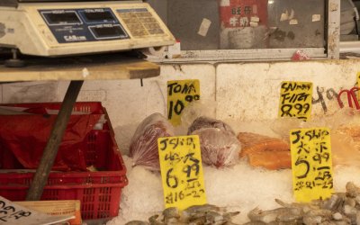 Σολομός vs τόνος: Ποιο ψάρι είναι καλύτερο για εσάς; Διατροφολόγοι απαντούν