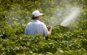 Ε.Α.Σ.: Πρώτη φορά ορθή διαχείριση κενών συσκευασιών γεωργικών φαρμάκων