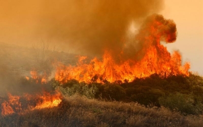 Τηλεοπτικό κοινωνικό μήνυμα για δασικές πυρκαγιές (video)