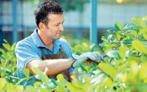 Ο Ενιαίος Αγροτικός Συνεταιρισμός αναζητά Γεωπόνο για εργασία πλήρους απασχόλησης