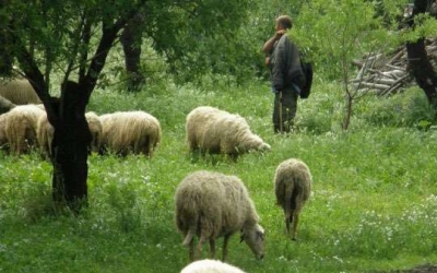 Ε.Α.Σ.: Συνάντηση ντόπιων Αγροκτηνοτρόφων
