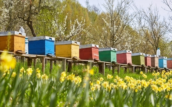 Γενική Συνέλευση του Μελισσοκομικού Συνεταιρισμού Κεφαλληνίας & Ιθάκης