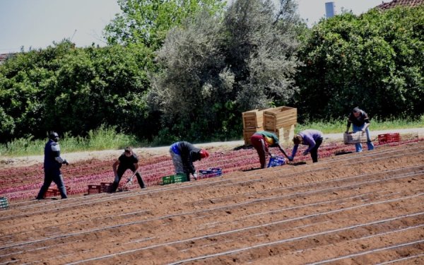 Αλλαγές στο εργόσημο: Μπαίνει πλαφόν ασφάλισης, αποκλειστικά online πληρωμές
