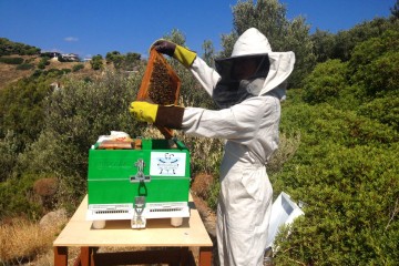 Ανακοίνωση-Πρόσκληση Μελισσοκομικού Συνεταιρισμού Κεφαλονιάς