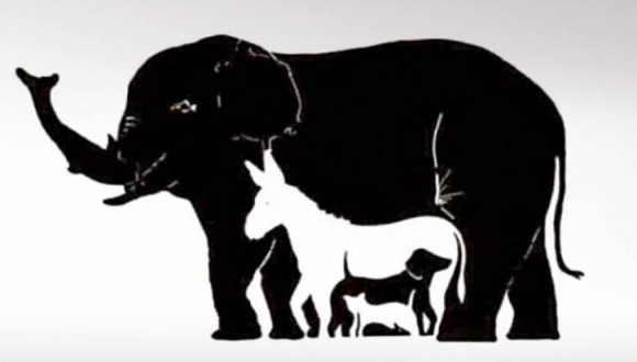 Η σπαζοκεφαλιά που έχει «τρελάνει» το διαδίκτυο- Πόσα ζώα βλέπετε;