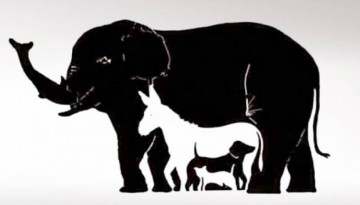 Η σπαζοκεφαλιά που έχει «τρελάνει» το διαδίκτυο- Πόσα ζώα βλέπετε;