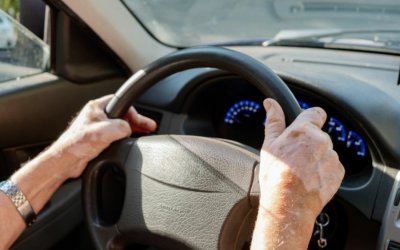 Οδηγός παρέσυρε και εγκατέλειψε αδέσποτο στη Λάσση – Καταγγελίες για διαρκή παραβατικότητα στον δρόμο