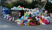 ''Πνίγεται'' η Ζάκυνθος πάνω από 2.000 τόνοι σκουπιδιών βάζουν σε κίνδυνο την δημόσια υγεία