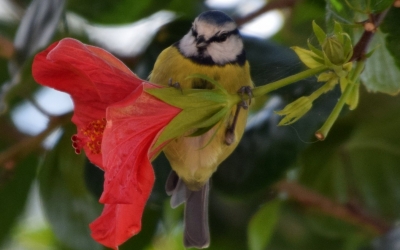 Καλό μήνα από την Κεφαλονιά (εικόνες)