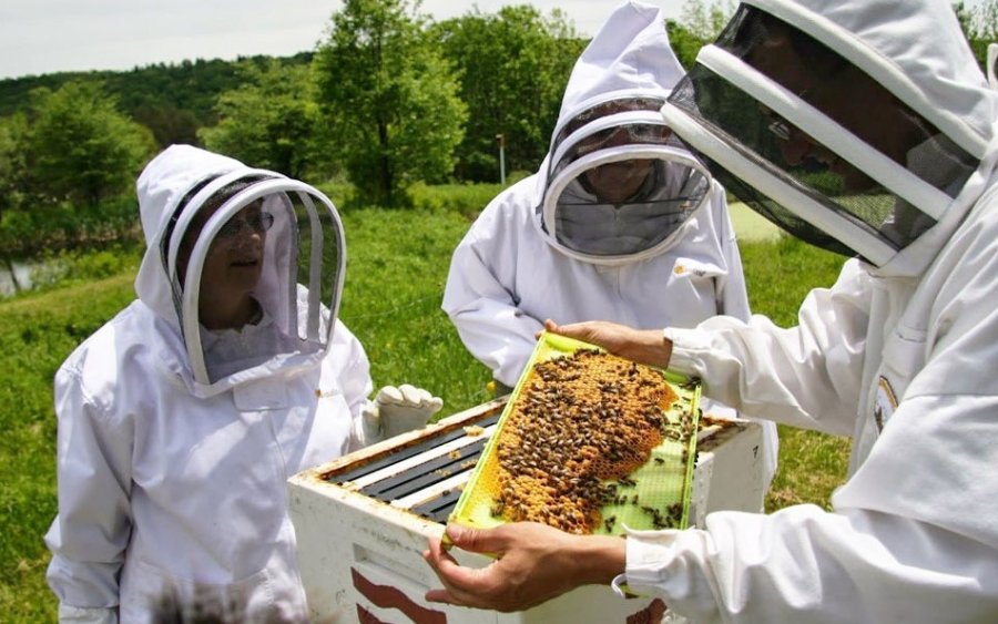Εκλογές στον Μελισσοκομικό Συνεταιρισμό Κεφαλονιάς και Ιθάκης