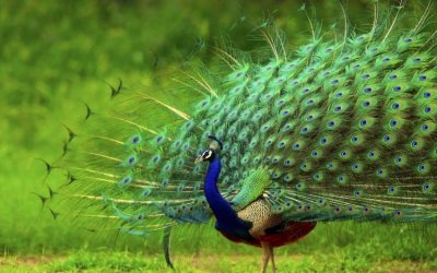 Η εικόνα δεν αφορά το συγκεκριμένο συμβάν