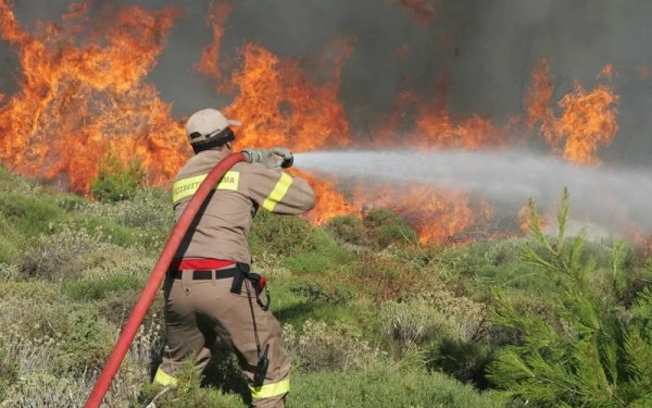 Αλλαγή τώρα του νομικού πλαισίου για την αντιπυρική προστασία των δασών