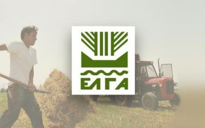 Ε.Α.Σ.: Πότε δεν προβλέπεται καταβολή αποζημίωσης ΕΛΓΑ