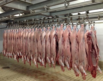 H Κεφαλονιά απέκτησε σύγχρονο σφαγείο, αδειοδοτημένο από την Ευρωπαϊκή Ένωση