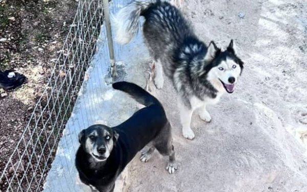 Βρέθηκαν ο Μαξ και η Άρια