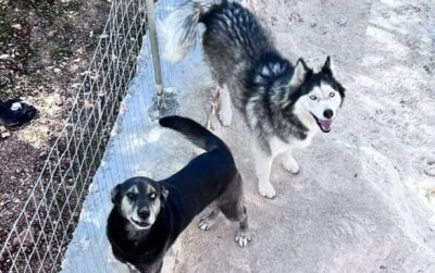 Βρέθηκαν ο Μαξ και η Άρια