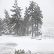 Έκτακτο δελτίο της ΕΜΥ - Ραγδαία επιδείνωση του καιρού με καταιγίδες και χιόνια - Πότε θα "χτυπήσει" την Κεφαλονιά