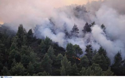 Ζάκυνθος: Μεγάλη πυρκαγιά στο χωριό Κορίθι – Δυνατός αέρας στην περιοχή