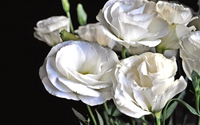 Ευχαριστήριο από την οικογένεια Τοτόλου