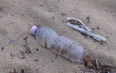 Εθελοντικός καθαρισμός στον Πλατύ Γιαλό