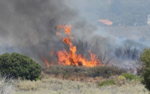 Πυρκαγιές: Την «Πολιτεία» δείχνει ο Κουρής για την έλλειψη πρόληψης