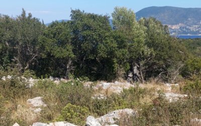 Πωλούνται ή δίνονται αντιπαροχή οικόπεδα στα Βεντουράτα και Αντιπάτα