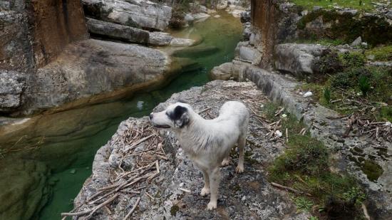 Η Ορειβατική Λέσχη πήγε στο "Κακό Λαγκάδι"! (εικόνες)