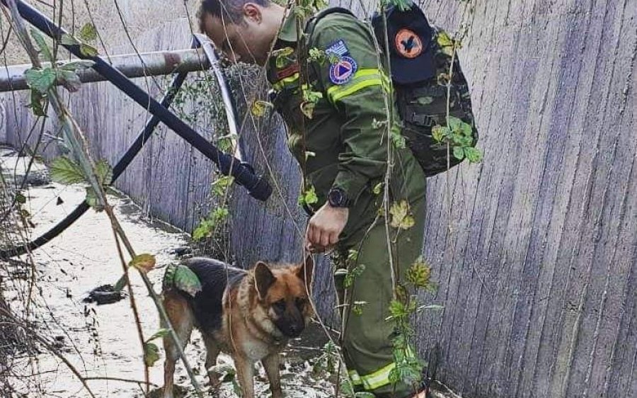 Σίμπα, ο πιστοποιημένος σκύλος- διασώστης της ΕΟΔ &amp; Εκτακτων Αναγκών Ελειού Πρόννων (εικόνες)