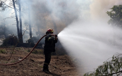 Έρχεται πρόγραμμα κοινωφελούς εργασίας με 5.066 θέσεις για προστασία των δασών