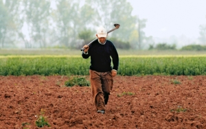 Ε.Α.Σ.: Τέλος τα «ιστορικά δικαιώματα» Αγροτικών Επιδοτήσεων