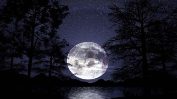 "Η σκοτεινή πλευρά του Φεγγαριού" : Παρουσίαση βιβλίου του Κεφαλονίτη Θεοδόση Μοσχόπουλου