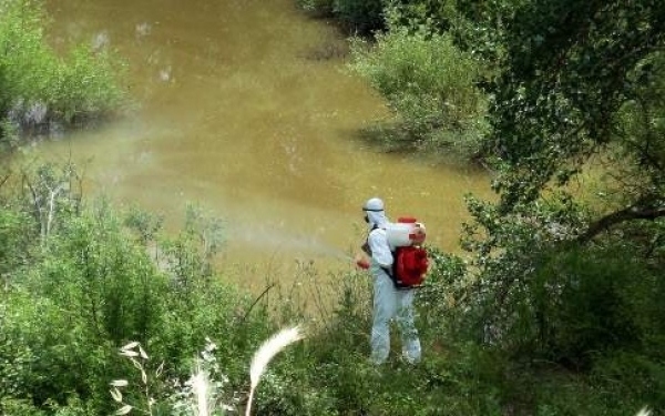 Αυξάνονται τα κρούσματα ελονοσίας στην Ελλάδα: 57 έφτασαν μέχρι τον Ιούλιο